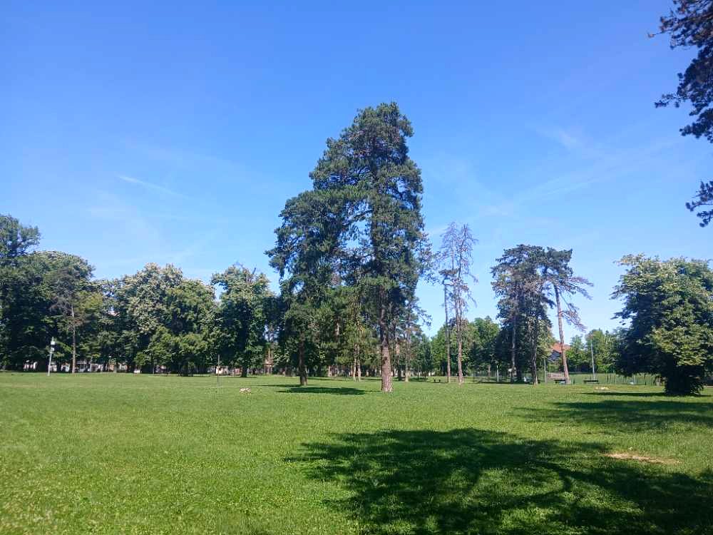 Mladen Stojanović Park lawns