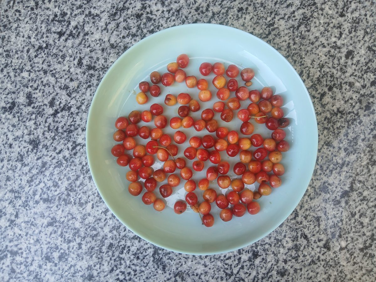 Fresh local cherries